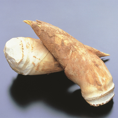 Kyo Bamboo Shoot