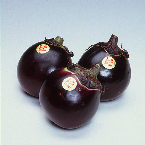 Kamo-Nasu Eggplant