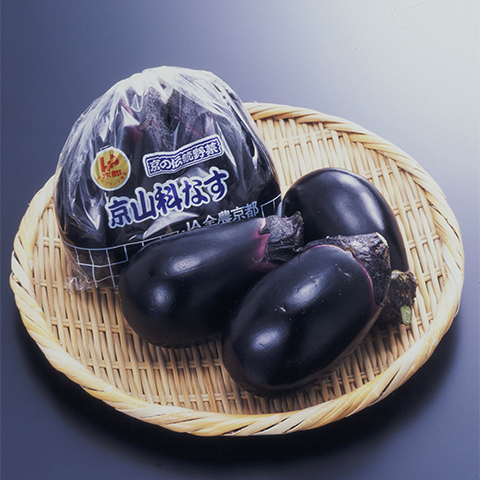 Kyo Yamashina Eggplant