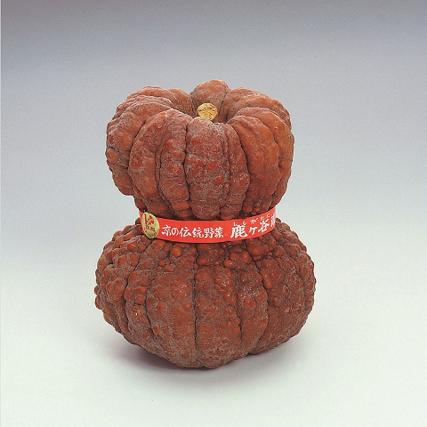 Shishigatani Squash