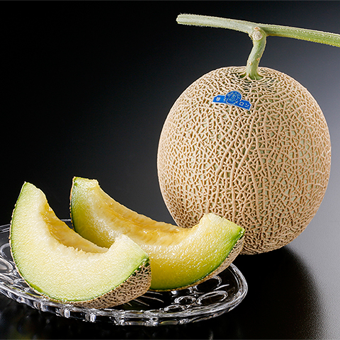 Kyotango Melon
