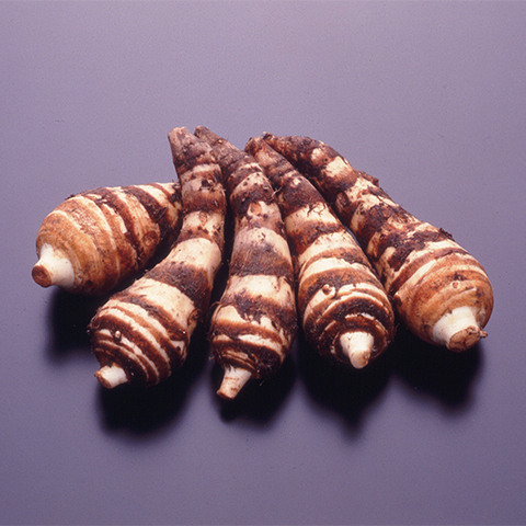 Ebi-Imo (Shrimp-shaped taro)