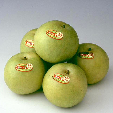 Kyotango Pear
