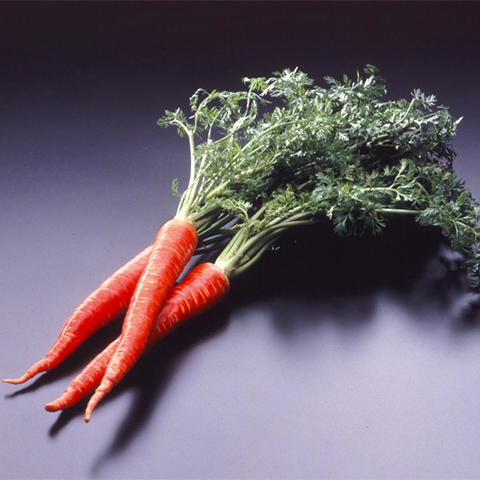 Kintoki Carrot